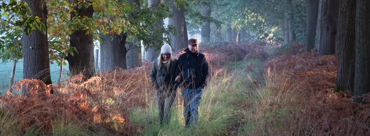 Herfstactiviteiten: de gezondheidsvoordelen van wandelen in de natuur | leefnugezonder