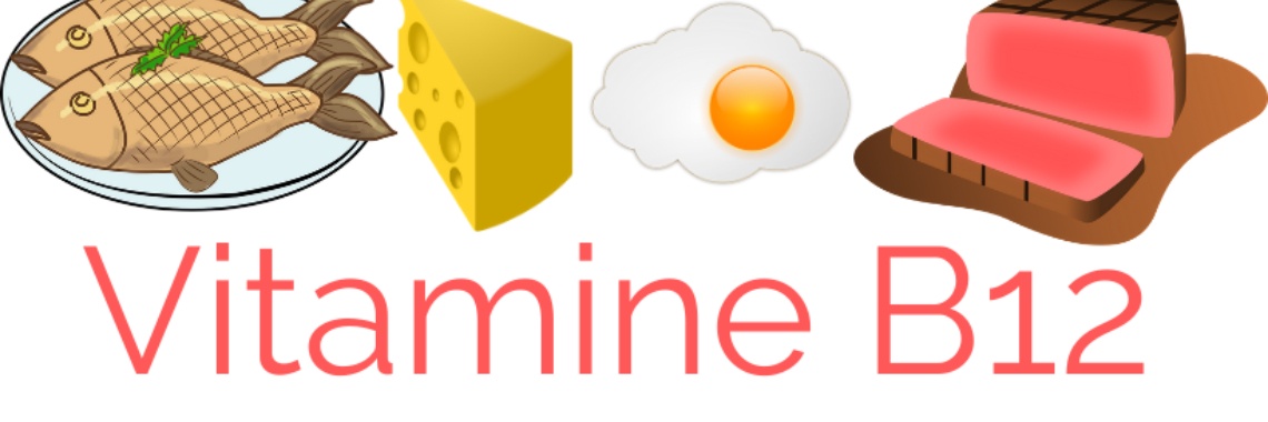 Alles wat je weten moet over vitamine B12 | Leefff  voor jouw  gezondheid