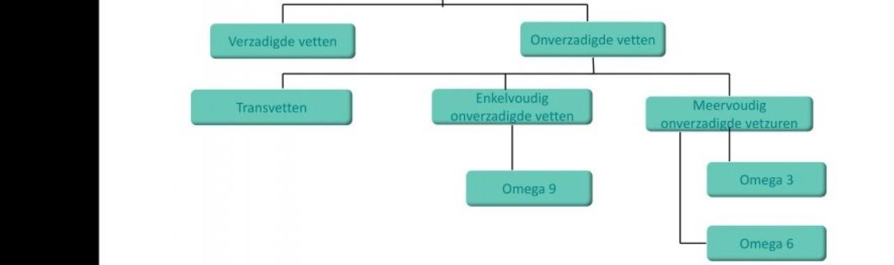 Is Vet gezond of is Vet ongezond? | Leefff  voor jouw  gezondheid