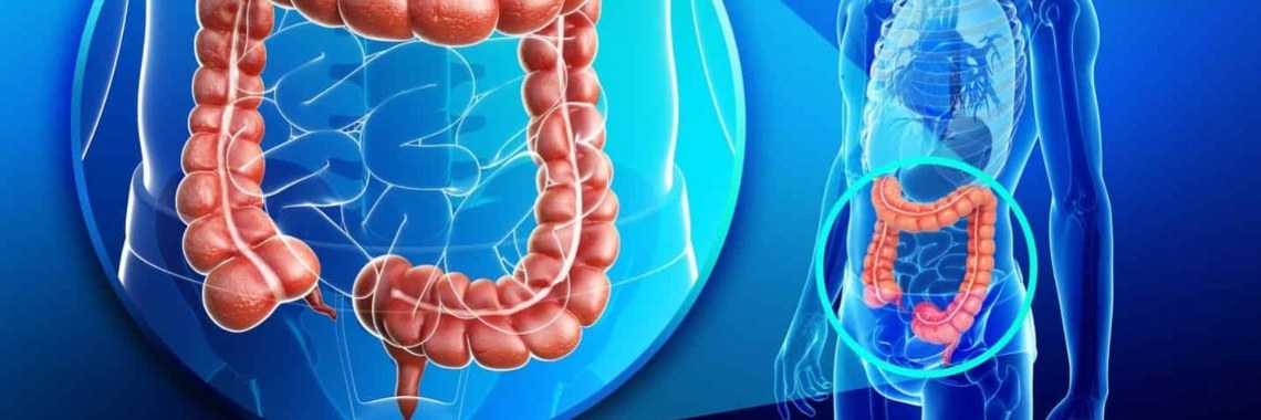 Wat is een biofilm? En hoe kom je ervan af! | Leefff  voor jouw  gezondheid