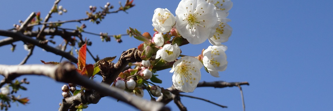 Work in the garden! | Leefff  voor jouw  gezondheid