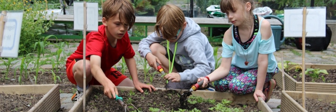 Vegetable garden in class | Zoet Hongaars Leven