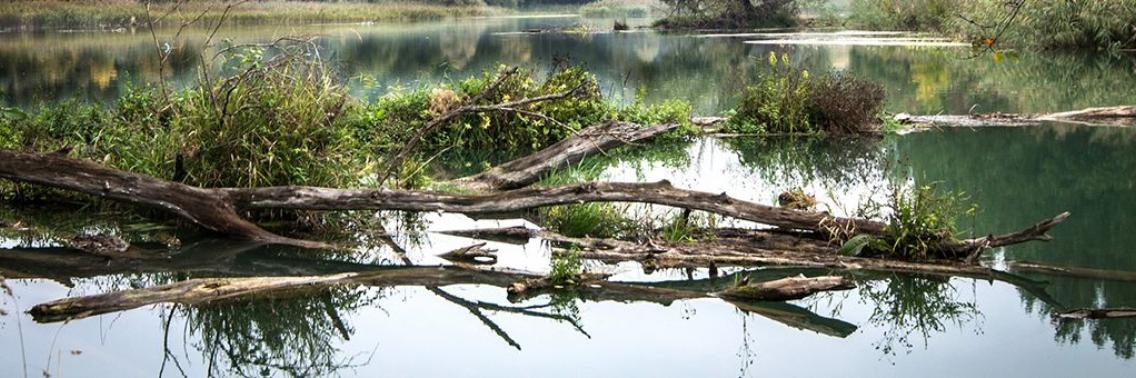 The prince and the lake  | MonsterMam