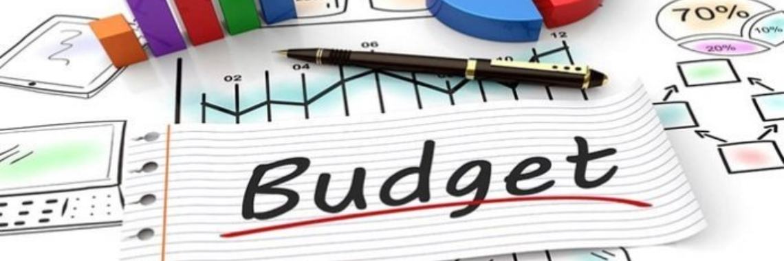 Stap 1: maak een budget | Penny Smart
