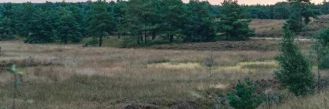 Al struinend over de prachtige heuvelrug deel 2 | nicovbelle