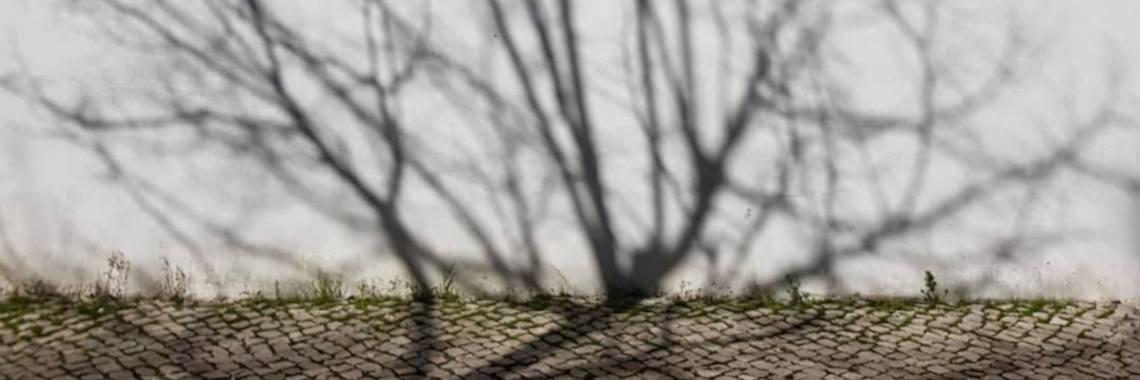 Living in shadows | Adriana