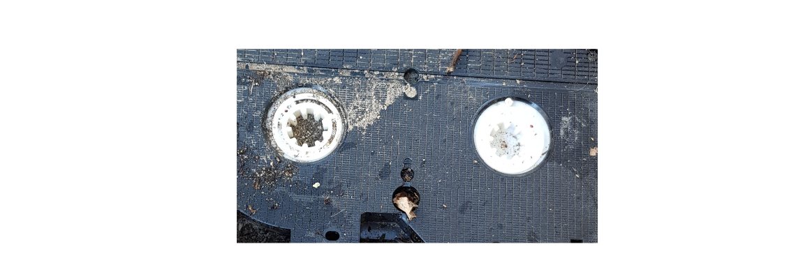 Pareidolia: waarom zien we overal gezichten | Adriana