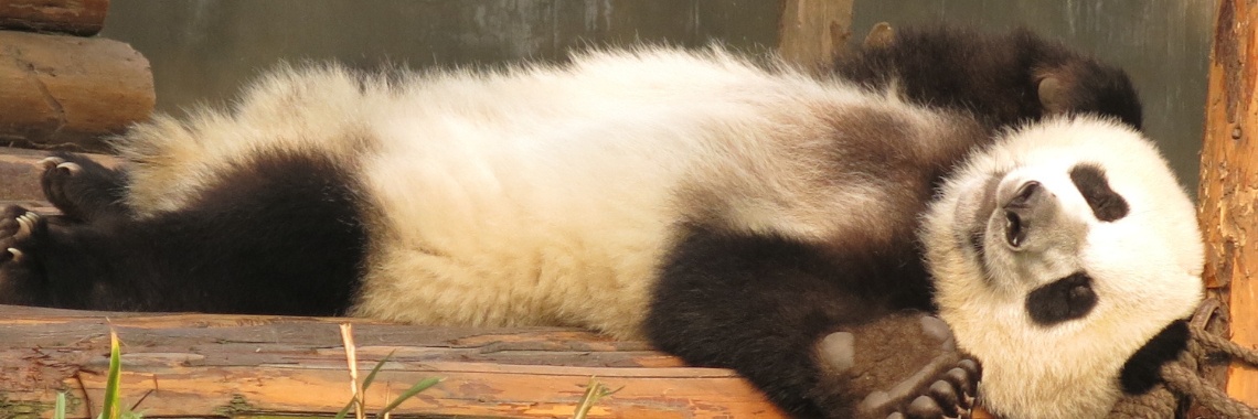 Photography: the world and a backpack (II) | Adriana