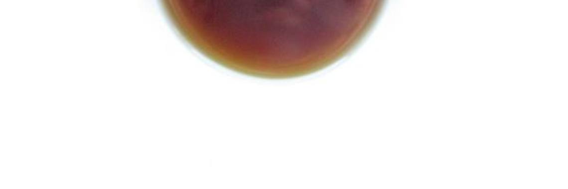 Tea & me: playing with food | Adriana