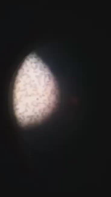 Curso de Bioanalista, de Humanos Y animales de interes, Con Rockstar | rockstar