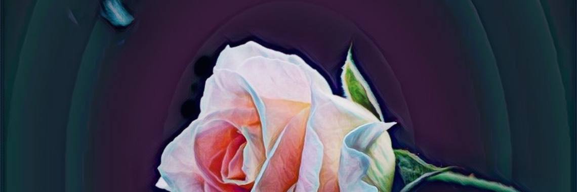 Dedicated to her | Just read(en)