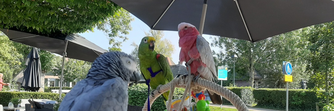 Vakantie (deel 2) | Maximus-minimus