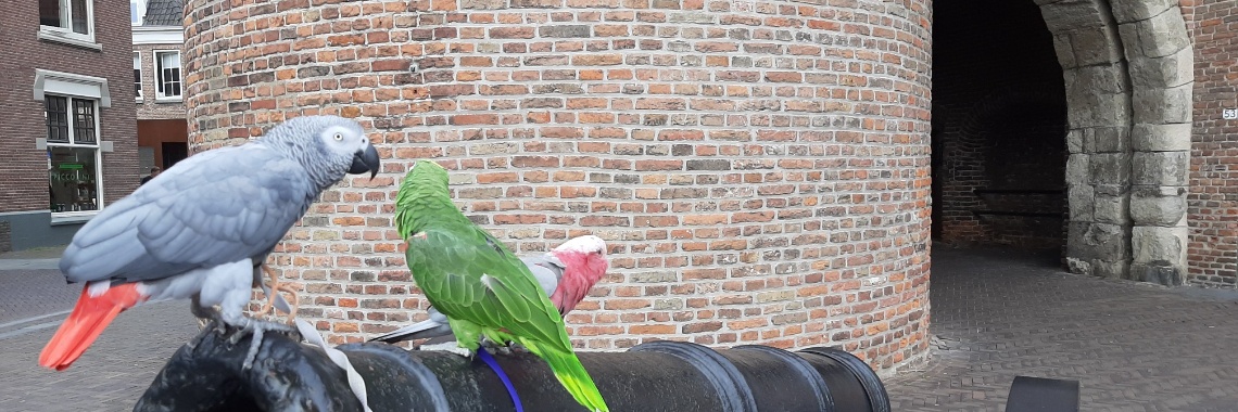 Vakantie (deel 3) | Maximus-minimus