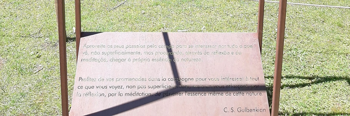 Benjamin's circle | Teresa Seia