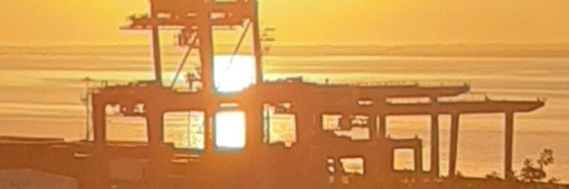 Into the daylight | Teresa Seia