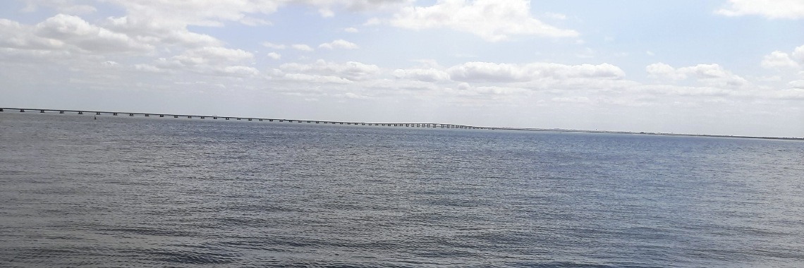 "Vasco da Gama" bridge | Teresa Seia