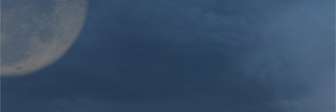 Welkin is neergeschoten | francesca