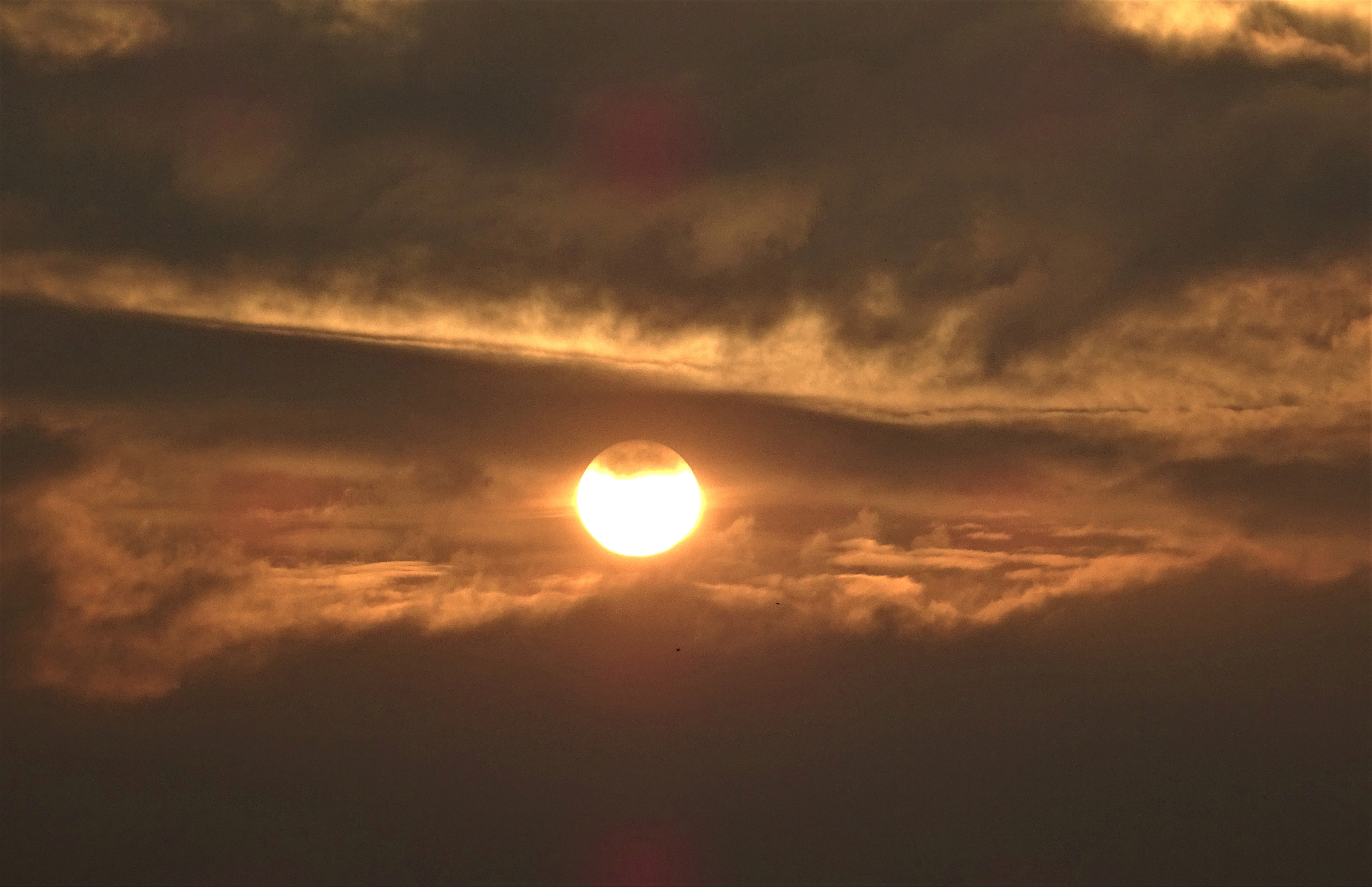 Terugblik op de zomer (foto blog ) | Leo 1