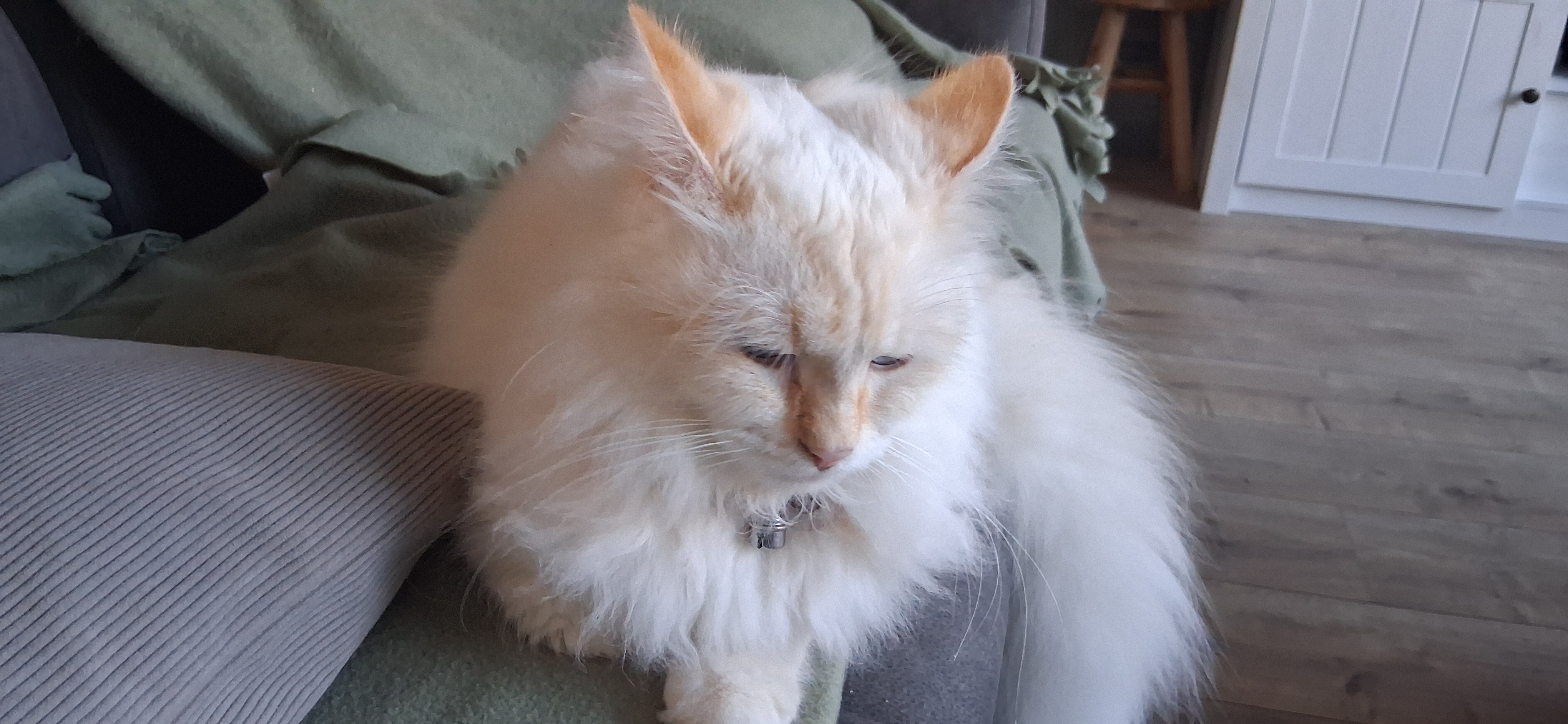 Chai's dagboek | Frutselen in de Marge