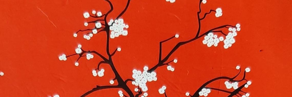 A yoga session with Enigma | Paula Martins