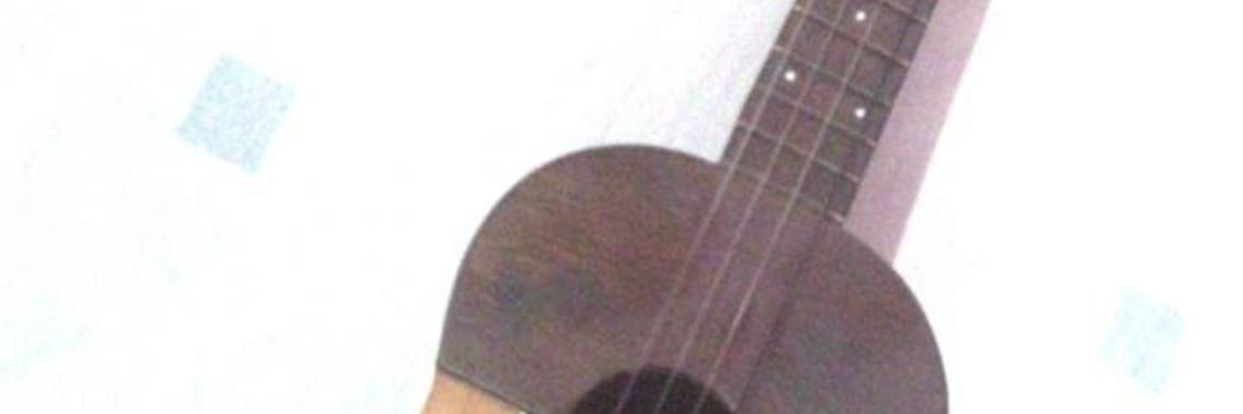 Mijn Venezolaanse Cuatro | naf1971naf