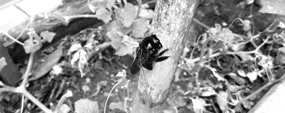 Expiando su trabajo | naf1971naf