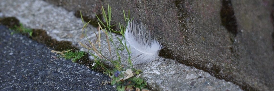 Incest, een woord wat je weinig hoort | Rider on the Storm