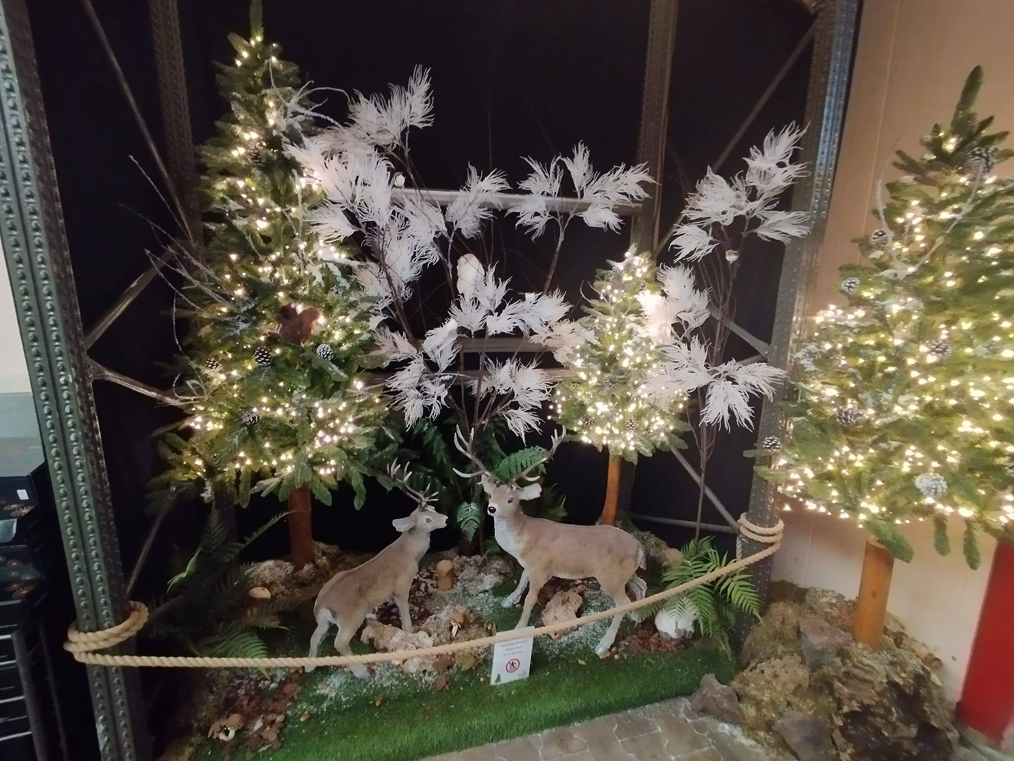 Kerst Tuinland in Assen | Rosita&Charlene-Blogs-Creaties