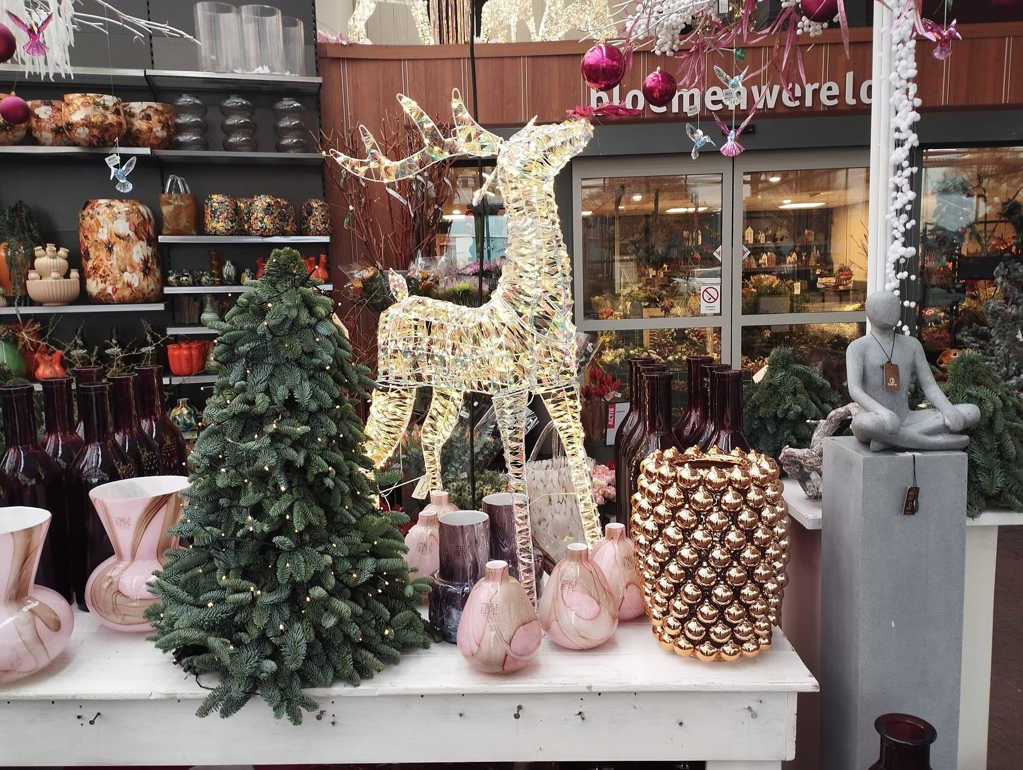 Intratuin Winschoten | Rosita&Charlene-Blogs-Creaties