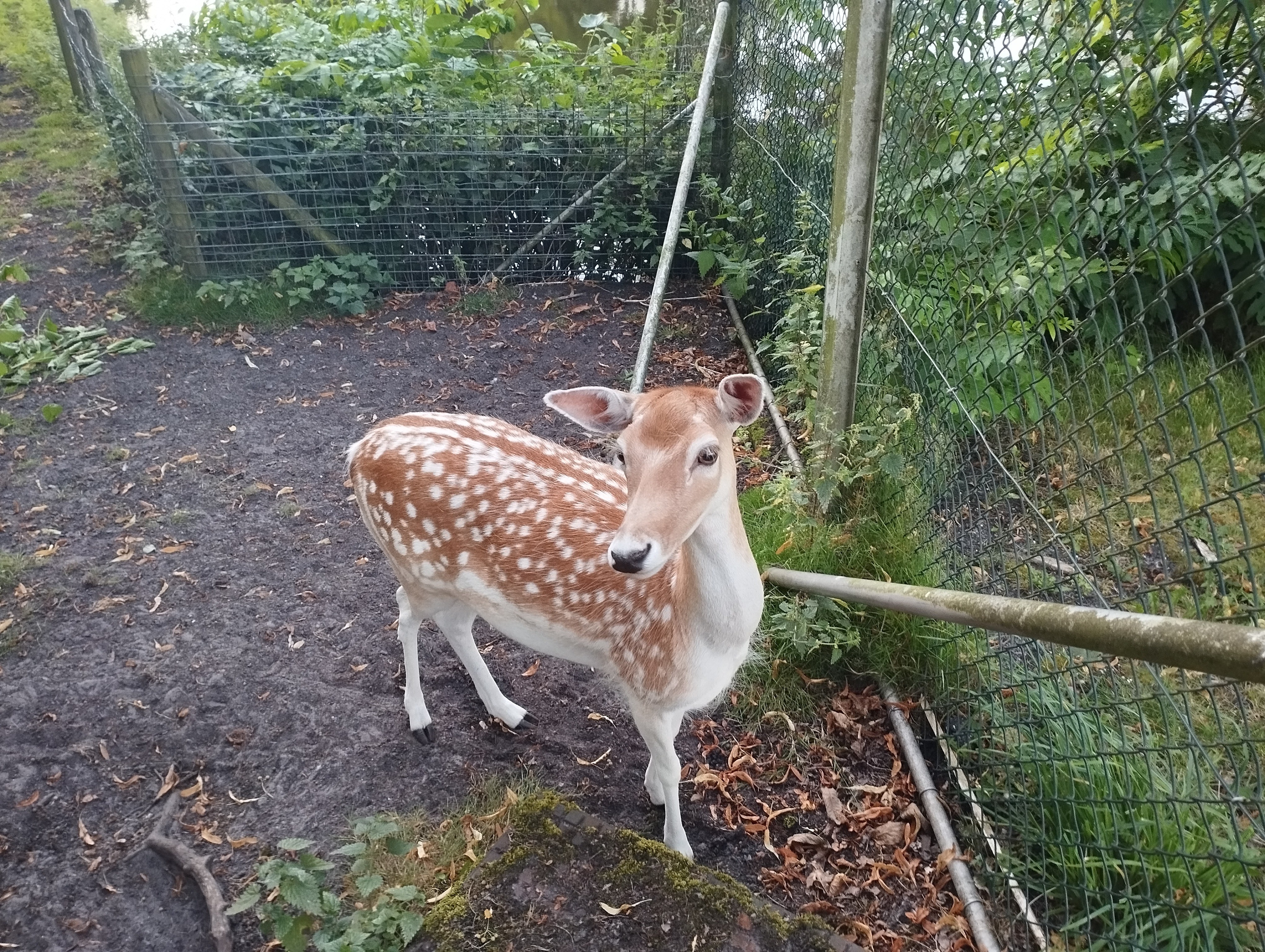 Kijk nou wat een schatje | Rosita&Charlene-Blogs-Creaties