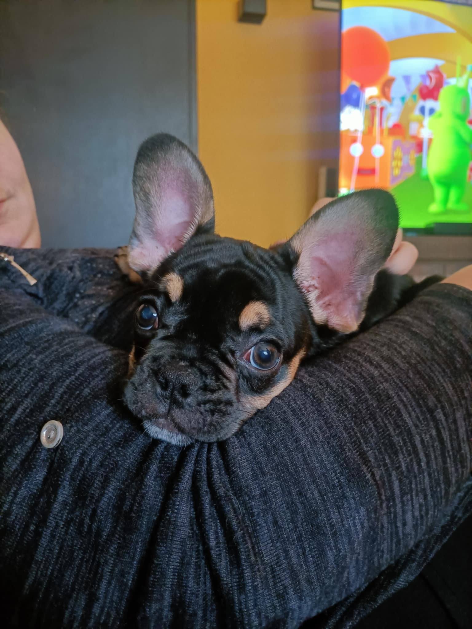 Welkom Ferry | Rosita&Charlene-Blogs-Creaties