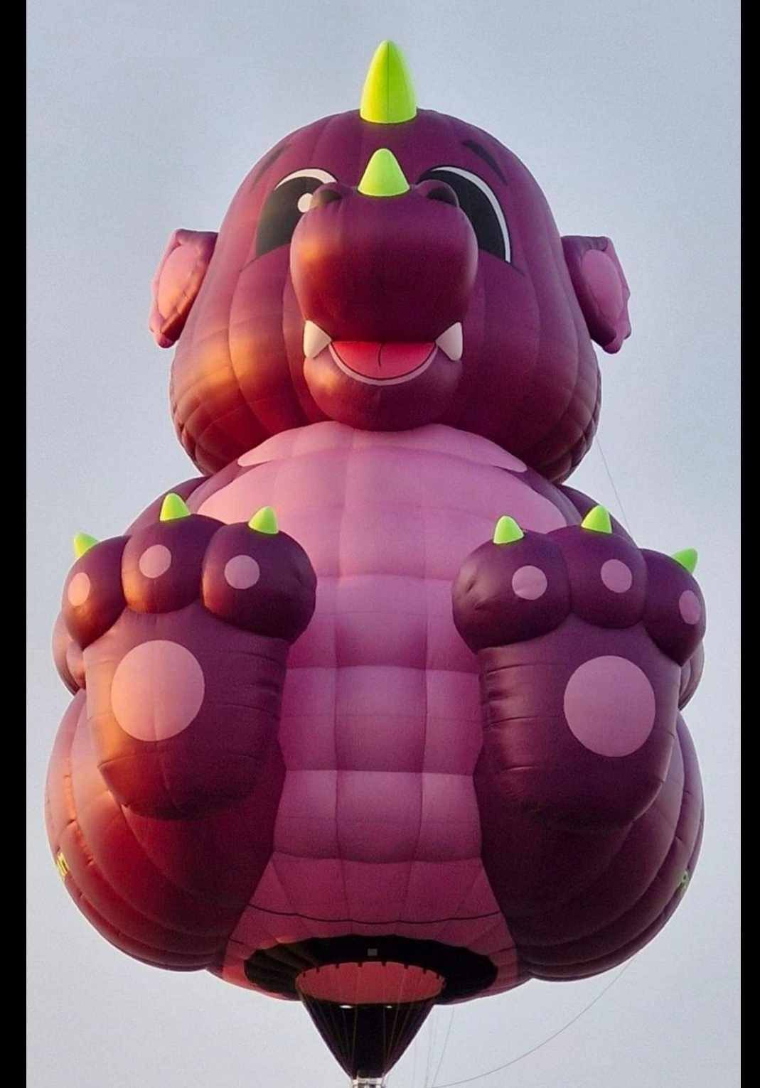 Kijk eens wat wij gezien hebben | Rosita&Charlene-Blogs-Creaties