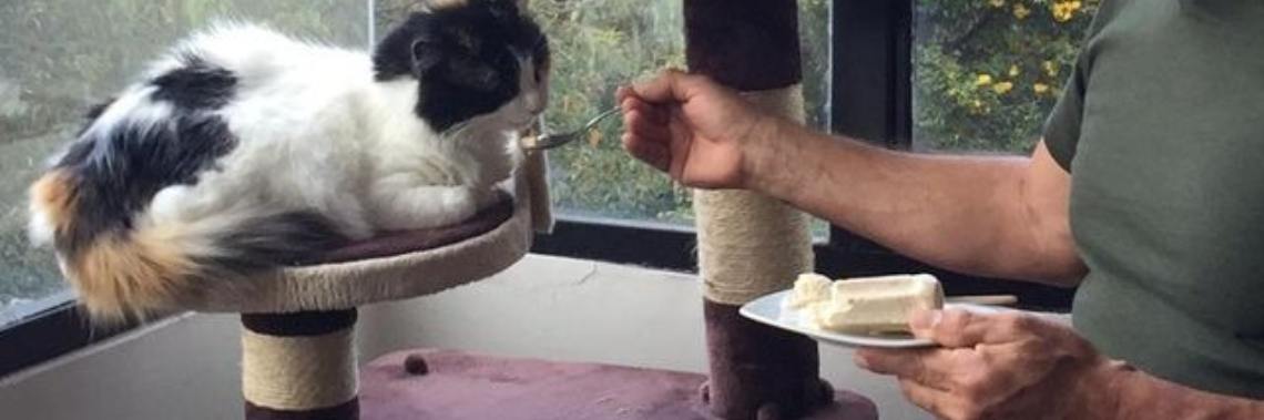 Sharing Dessert | Eza Chavez