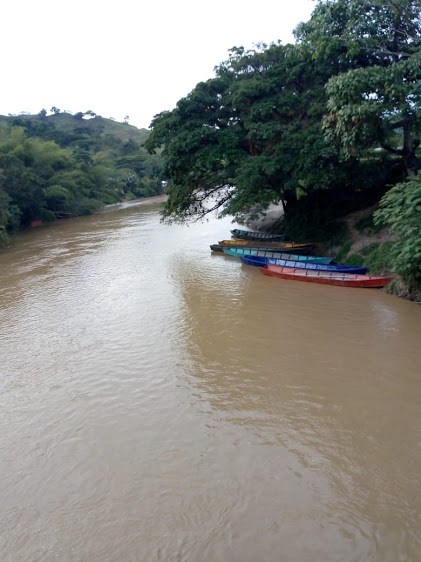 Río  La Vieja 