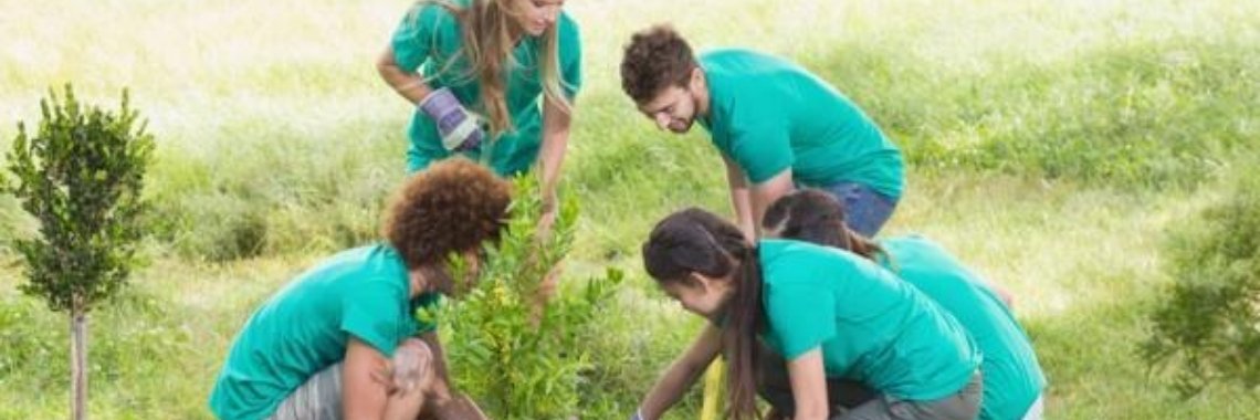 Restauración de ecosistemas | anagabriela