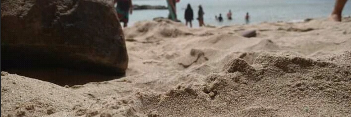 The Environment of the sea and the Sand | Gustavo Perez