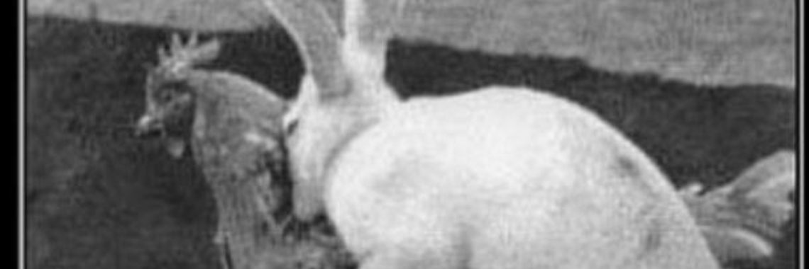 02/17/2020... That storm Dennis has something on his conscience... | Marion's World