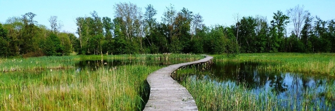 18-01-2019 .. Oh, was jij mijn zusje maar | Marion's World