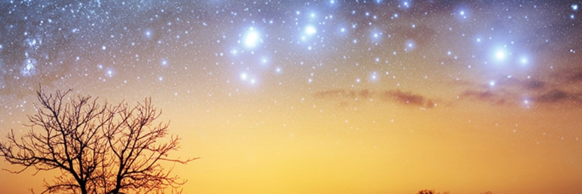 23-04-2018 .. Harmonisch (Telestichon) | Marion's World