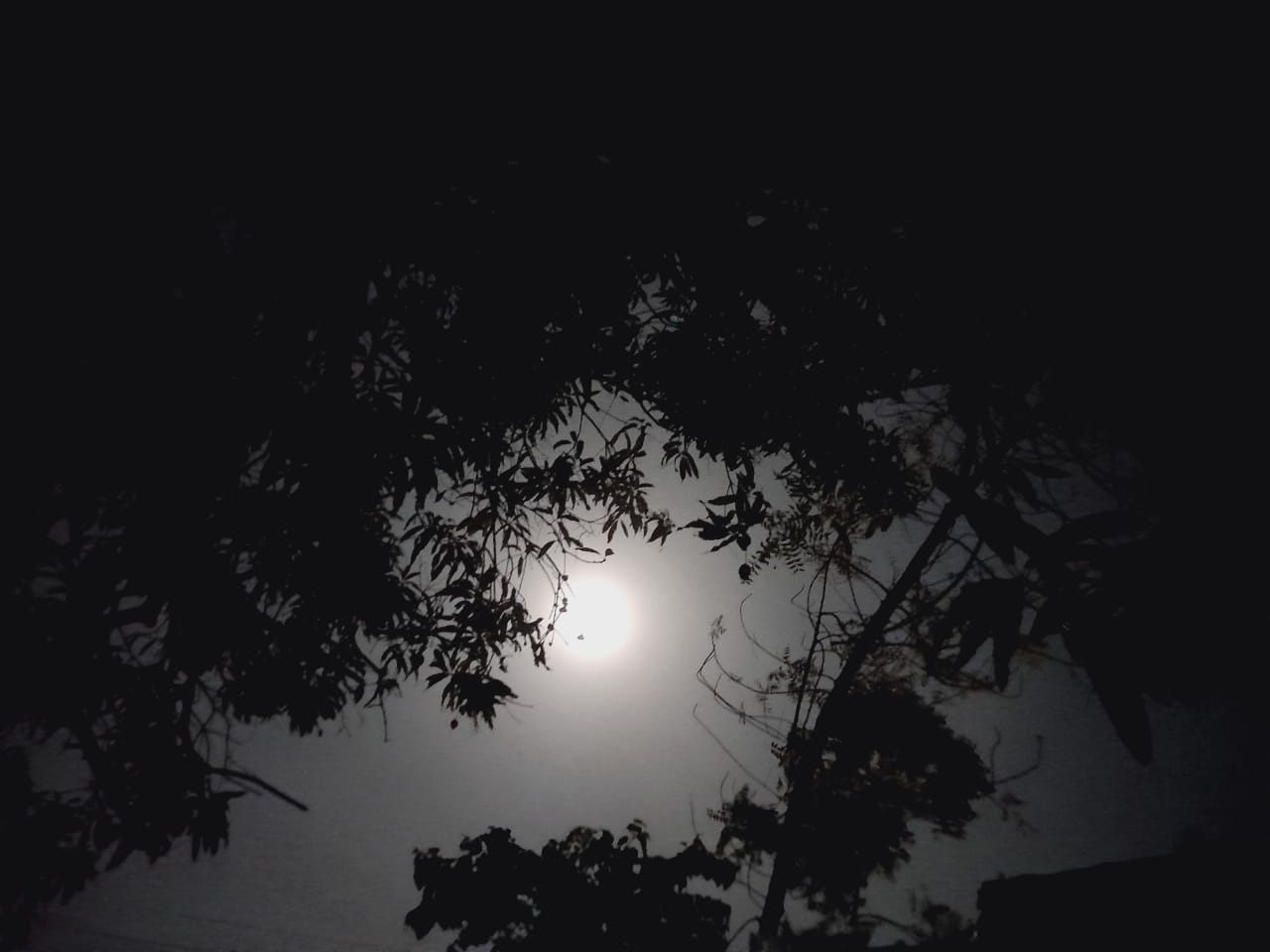 Cielo nocturno - Yoors