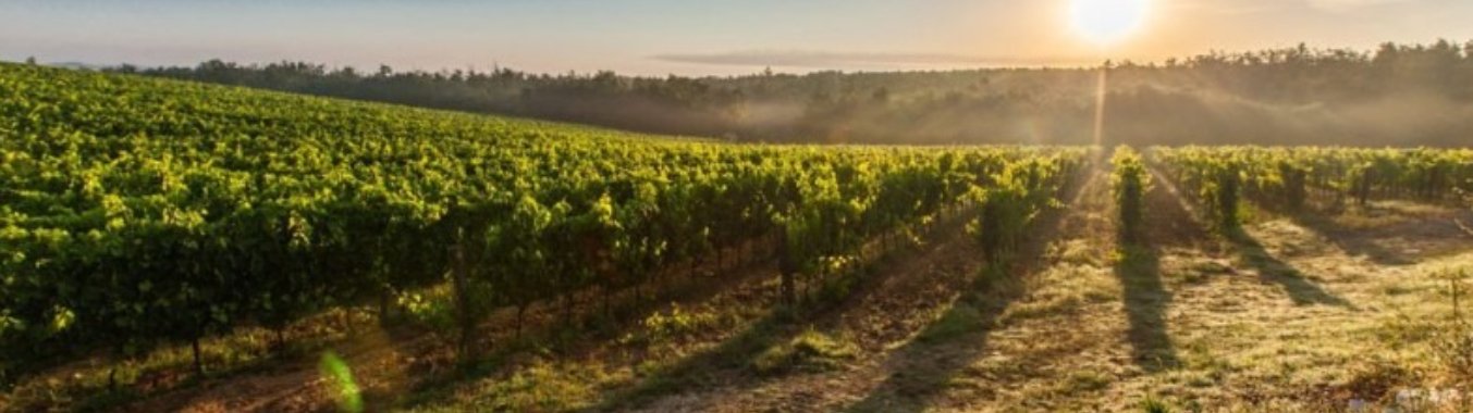 ¿Qué se puede hacer en Chile cuando llega la primavera? | Dtorr