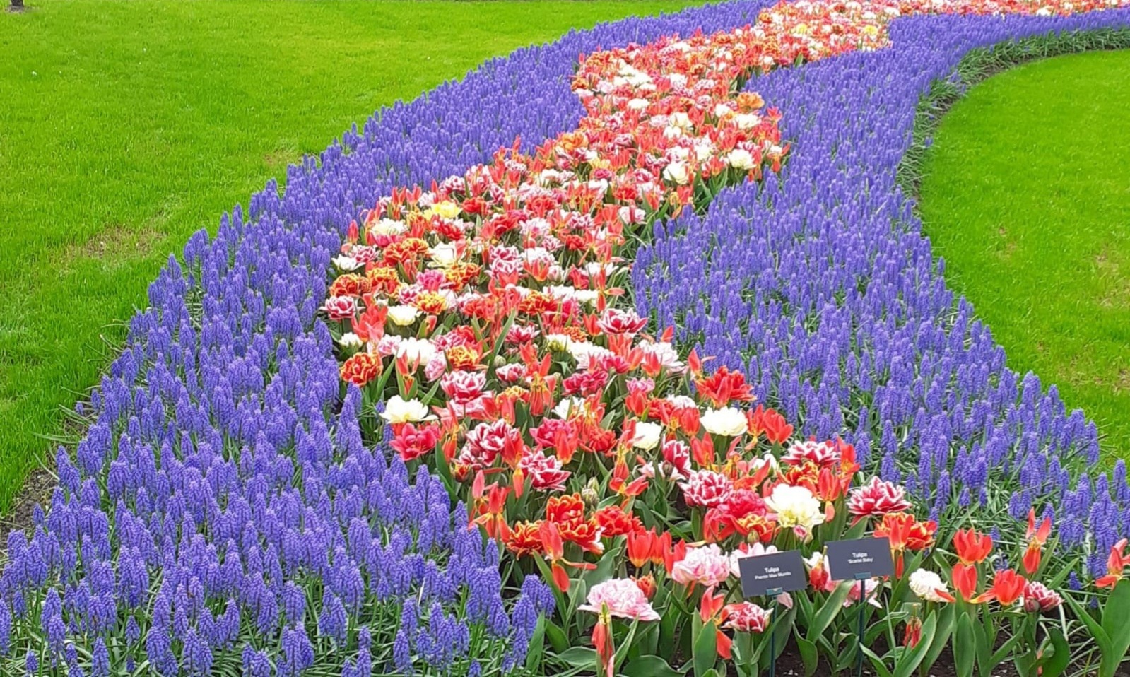 Keukenhof ... | De verhalenheks