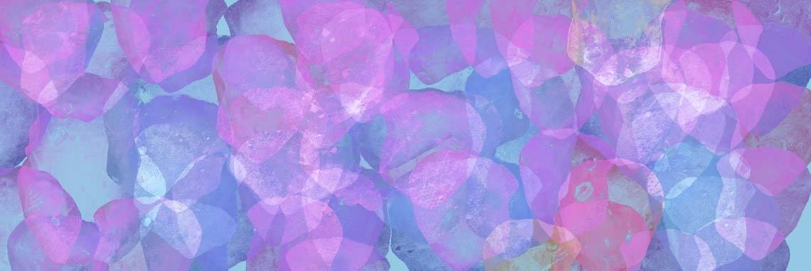 Een oranje bloem tussen de roze vlijtige liesjes? | Toto Animo