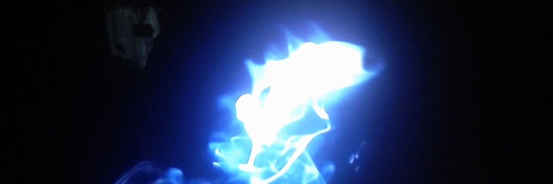 Drie wetenschappers doen een wondermooie ontdekking | Toto Animo