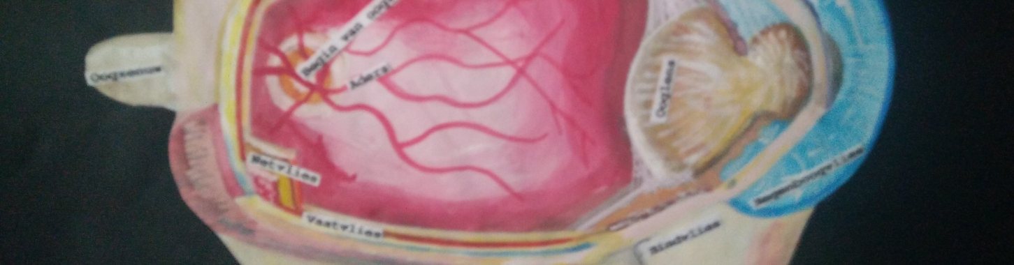 Naast het ontstaan van het leven zelf zijn de zintuigen, die levende organismen ontwikkelde,  echt wonderlijk. | Toto Animo