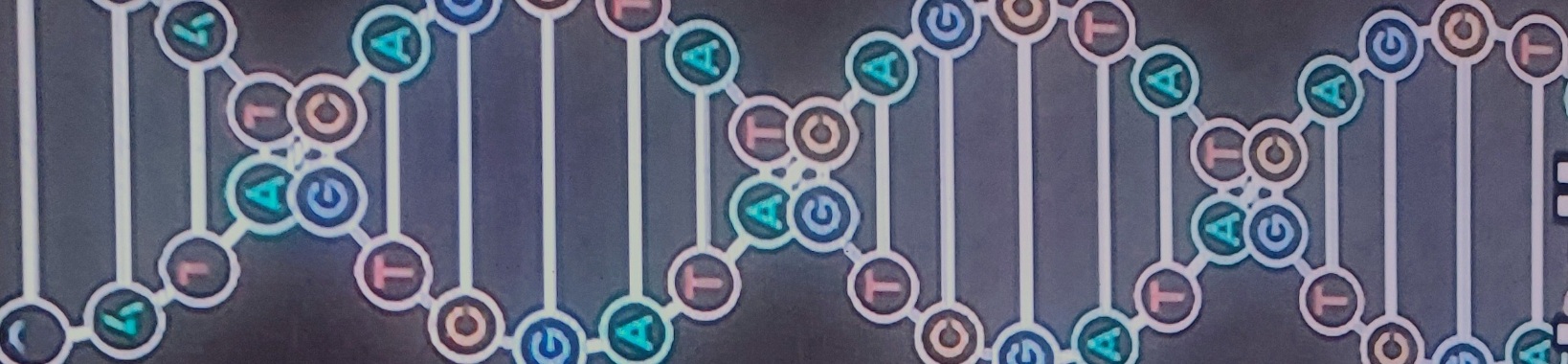 Which scientific geniuses helped crack the code of our DNA? | Toto Animo