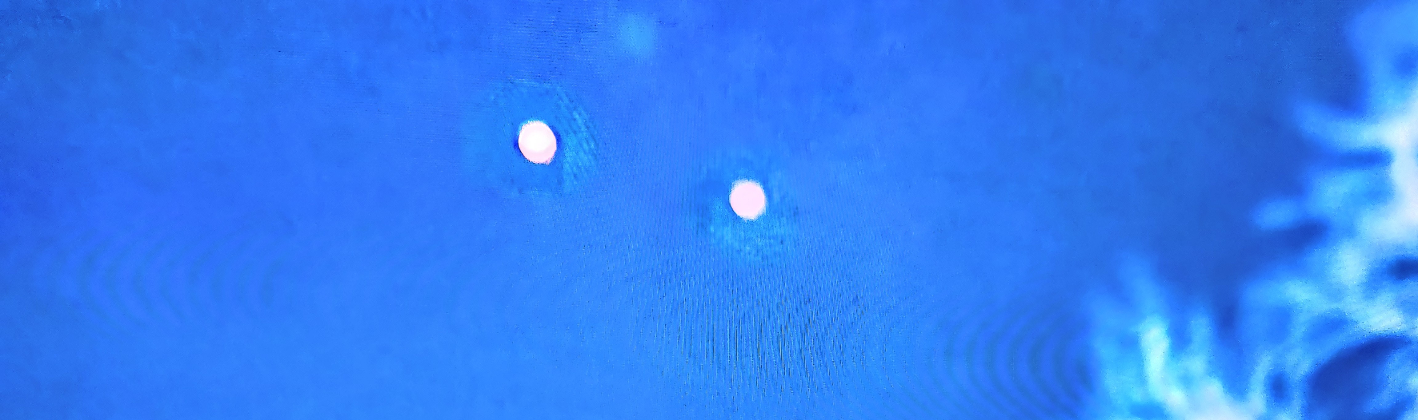 Chris Bladsoe kan contact maken met iets heel speciaal | Toto Animo