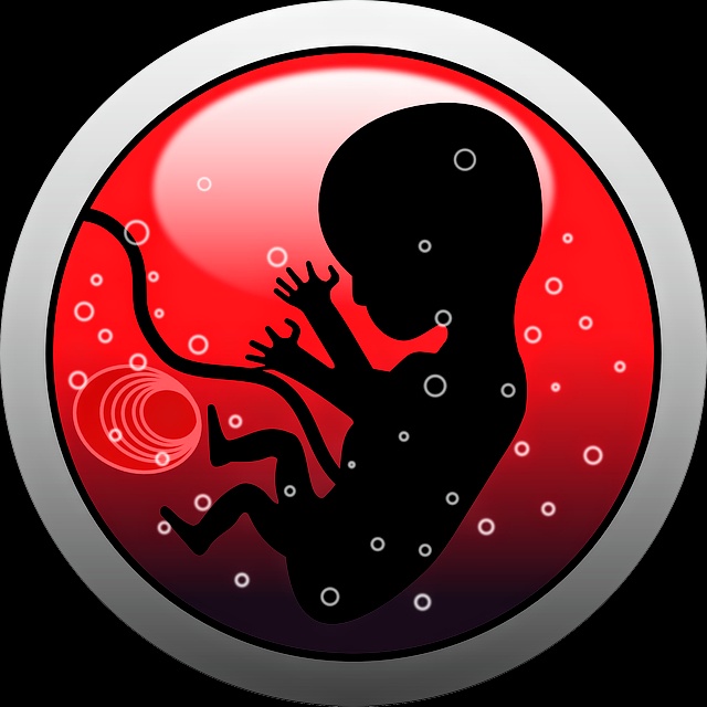 Moeten we een oeroude virus dankbaar zijn? | Toto Animo