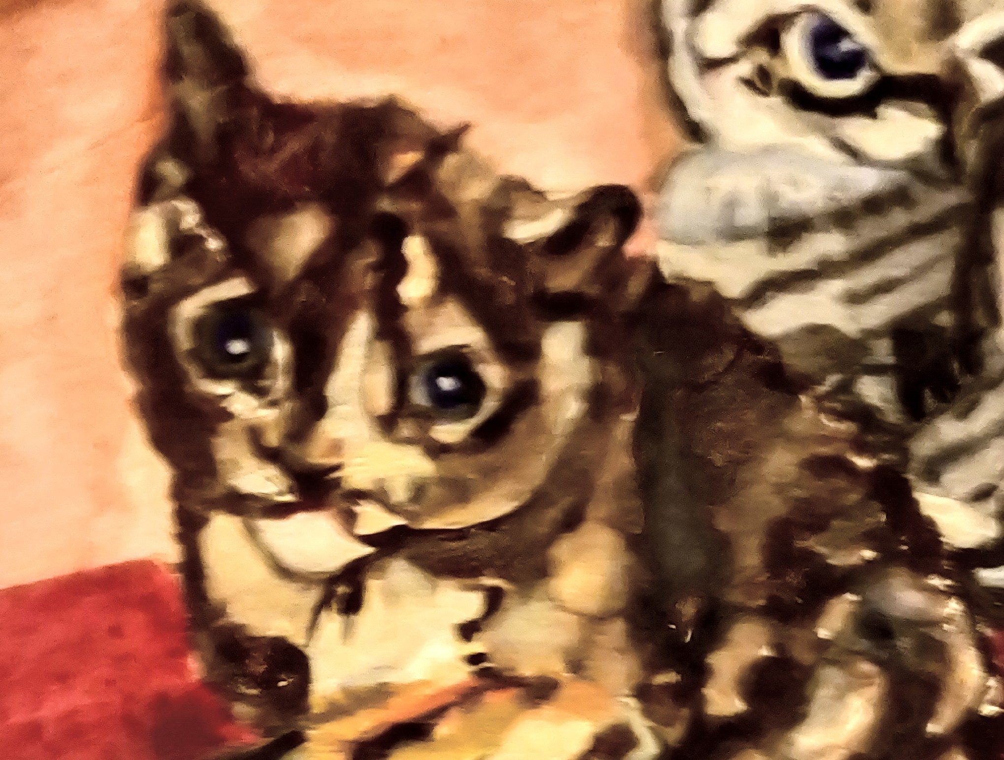 Onze familieuitbreiders | Toto Animo