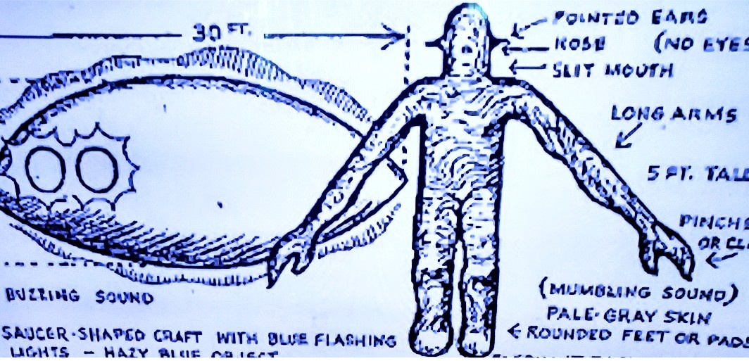 In Pascagoula(USA) werden Charles en Calvin voor onderzoek meegenomen in een ruimtschip | Toto Animo
